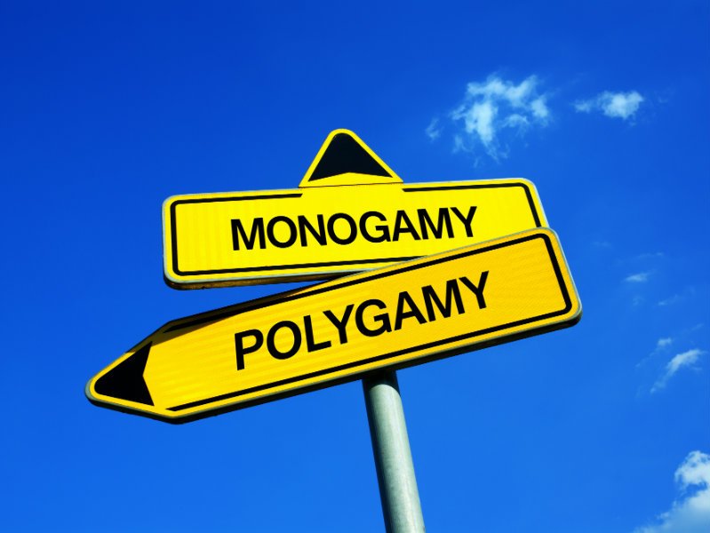 monogamia-polygamia