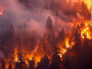 california-fires