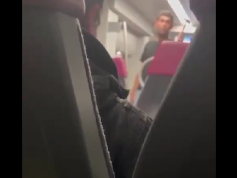 άνδρας με τσεκούρι σε τρένο στην ελβετία