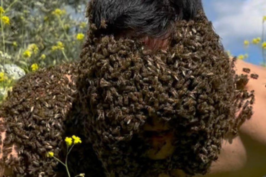 Ο νεαρός μελισσοκόμος που έγινε βάιραλ με τα βιντεάκια του στα μέσα κοινωνικής δικτύωσης