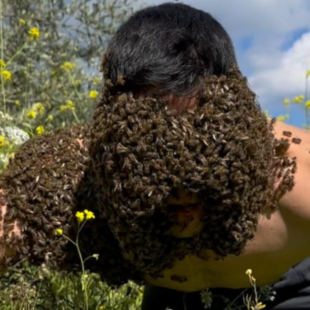 Ο νεαρός μελισσοκόμος που έγινε βάιραλ με τα βιντεάκια του στα μέσα κοινωνικής δικτύωσης