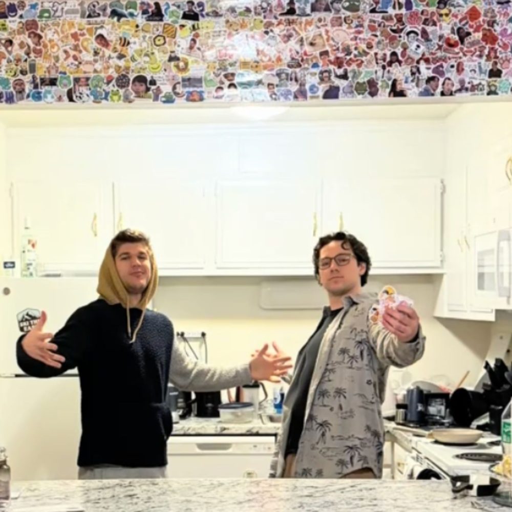 sygkatikoi-autokolita-viral